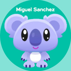 Miguel Sanchez net worth