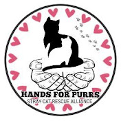 Hands For Purrs - Stray Cat Rescue Alliance