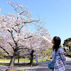 猫珈琲の日記 MeowCAFE 