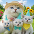 64NuljfKulQ-channel-avatar-Meowington Family World