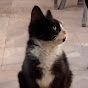 Oktabioc