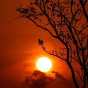 The Bhakti Playlist