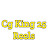 CG King 25 reels