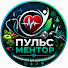 0C9GEhaeJp4-channel-avatar-Пульс Ментор