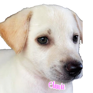 UCYyBoZjZc0DqvvUNBEqmJ6A YouTube channel image