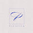 FuEopThkhiY-channel-avatar-Picassia