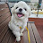 @doori_choi