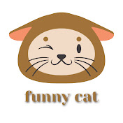 funny cat com