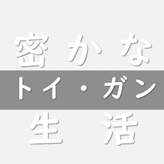 密かなトイガン生活