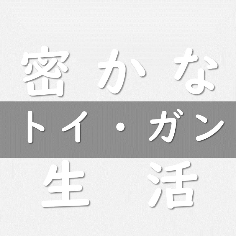 密かなトイガン生活