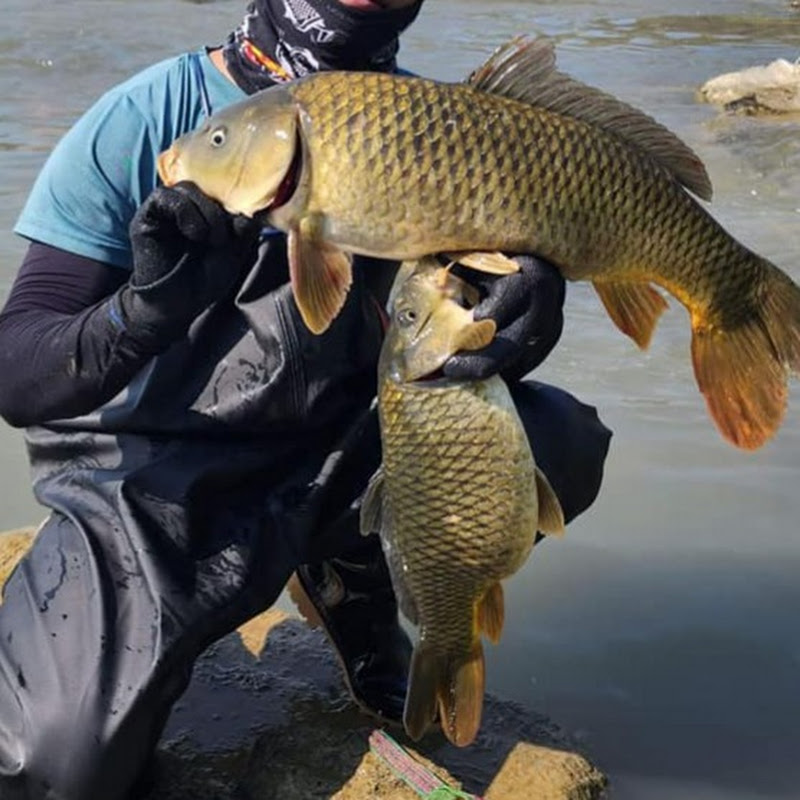 Amezing Fishing 1.2M