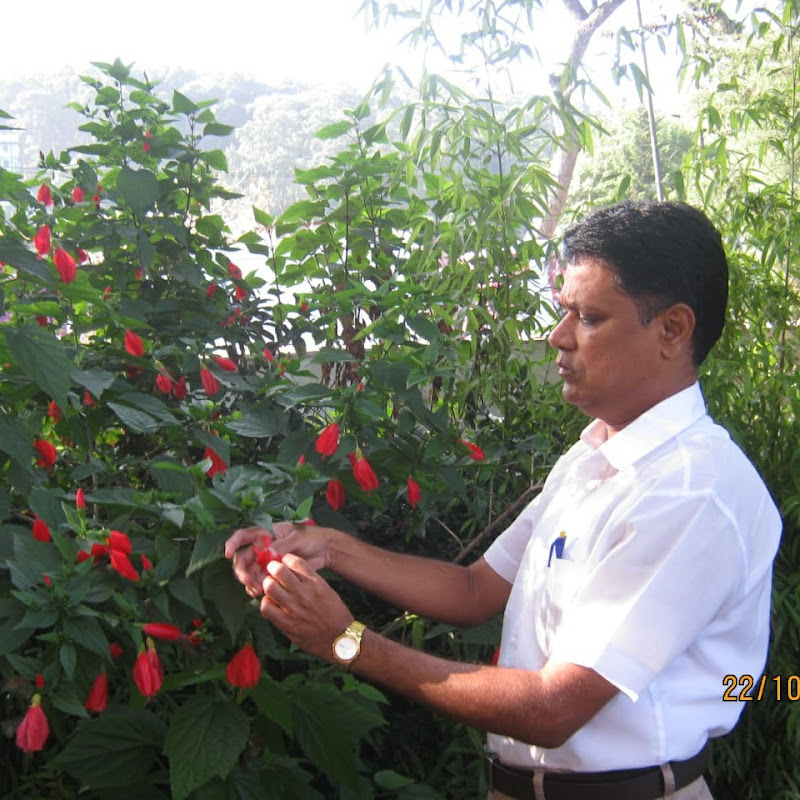 Agriculture College Updates & Counselling
