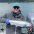 VlDCwRg6N6w-channel-avatar-FIN CLIPS By David Johnson’s Guide Service 