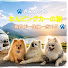 Ilfnp3G9LcA-channel-avatar-さんみるゆ わんカー旅