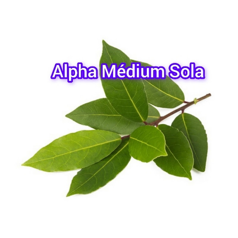 Maître spirituel Alpha Sola