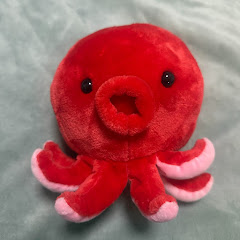 タコくんの人間観察アイコン画像