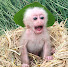 6O0wAGHjiD8-channel-avatar-Tini Baby