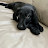 @AnimalLover-2828