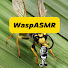 hcloZaWk-B4-channel-avatar-Wasp ASMR