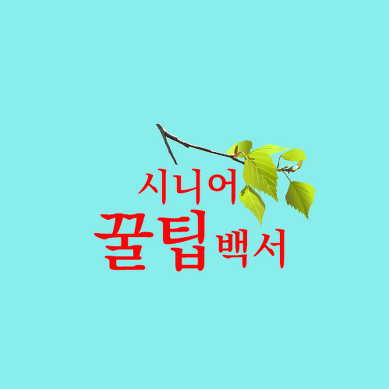 시니어 꿀팁백서