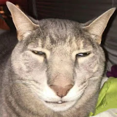 笑到劈叉铲屎官アイコン画像