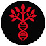 Pl14ac9MFGk-channel-avatar-Lineage