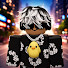 UClSl_TrqFY-channel-avatar-PAKO