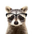 JJGhFKpH8xk-channel-avatar-Trash Panda Productions