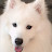 @달이맘-e7q