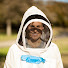 -Ve5mftxnwk-channel-avatar-Bexar Entomology