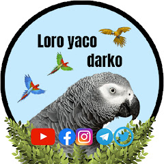 Canal de Youtube de Loro yaco Darko