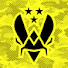 dlNuG2DLJLU-channel-avatar-Team Vitality Counter Strike