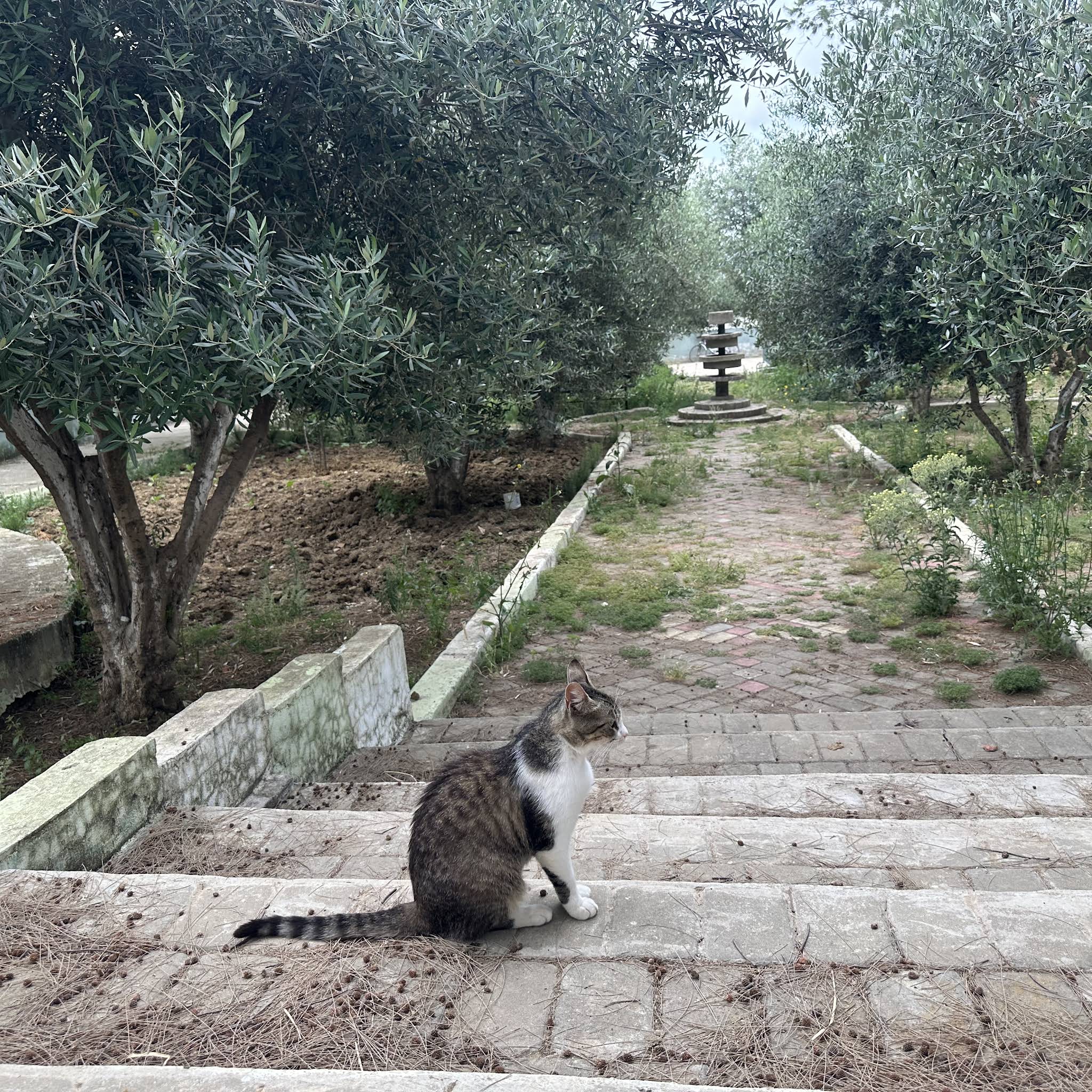 Post from Kitty corner