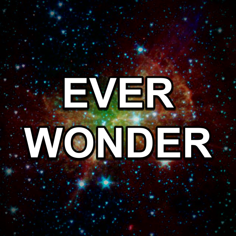 Ever Wonder