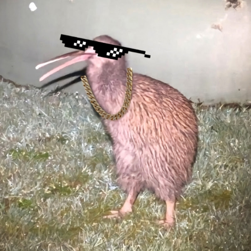 Deep South Adventure 