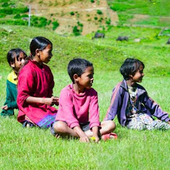 Village Nepal Life net worth