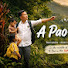 cEBKt8olPek-channel-avatar-A Pao - Returns