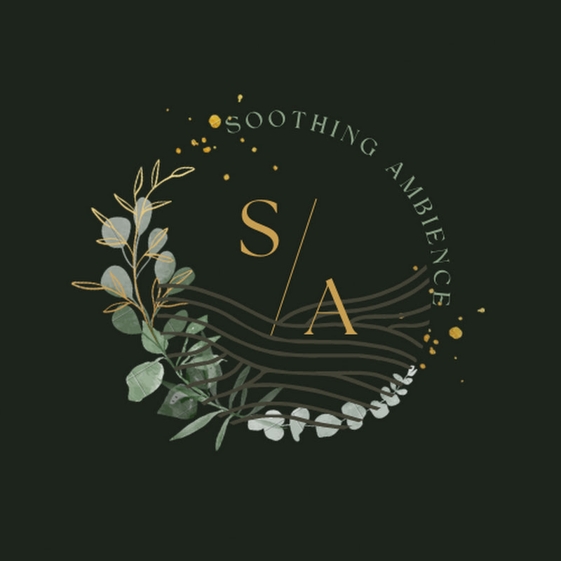 Soothing Ambiance  