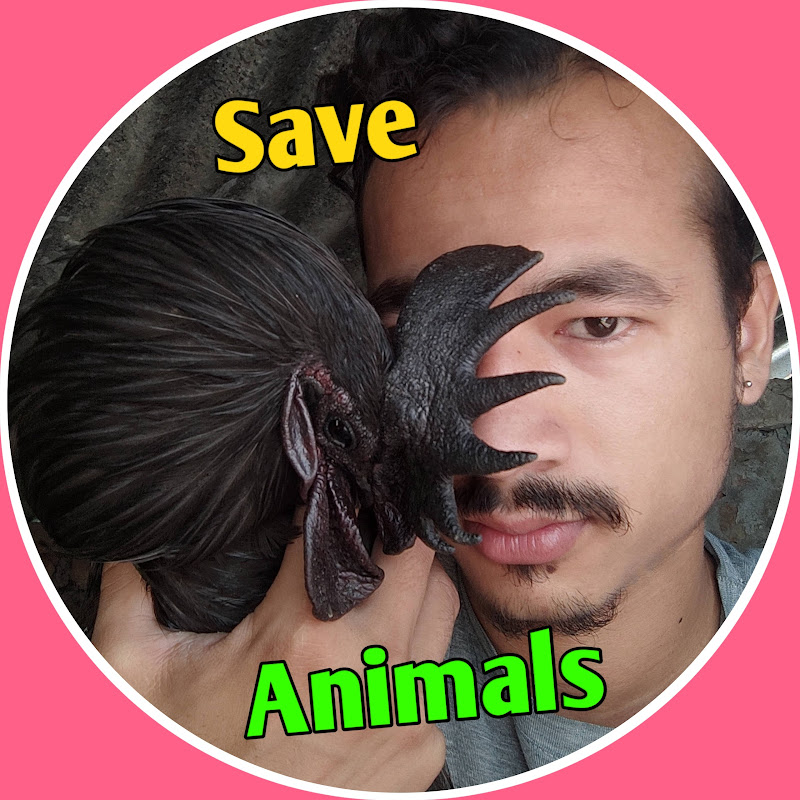 V animals