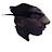@iClipChimp