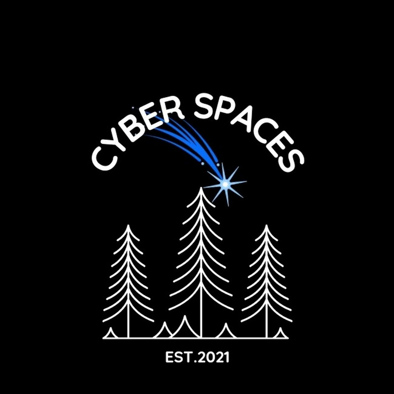 Cyberspaces