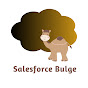 Salesforce Bulge logo