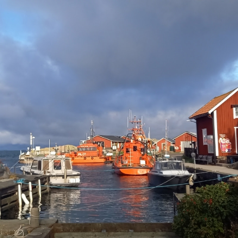 Scandinavian Cooking and Living