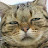@user-lh1pi7ys5f