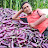 Nepali Farmer (Mukti Nath Upreti)