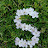 @salmaAhmed-zh1yj