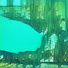 BNNku0qsIhc-channel-avatar-microorganism