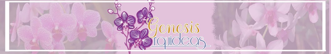 Genesis Orquideas YouTube channel avatar