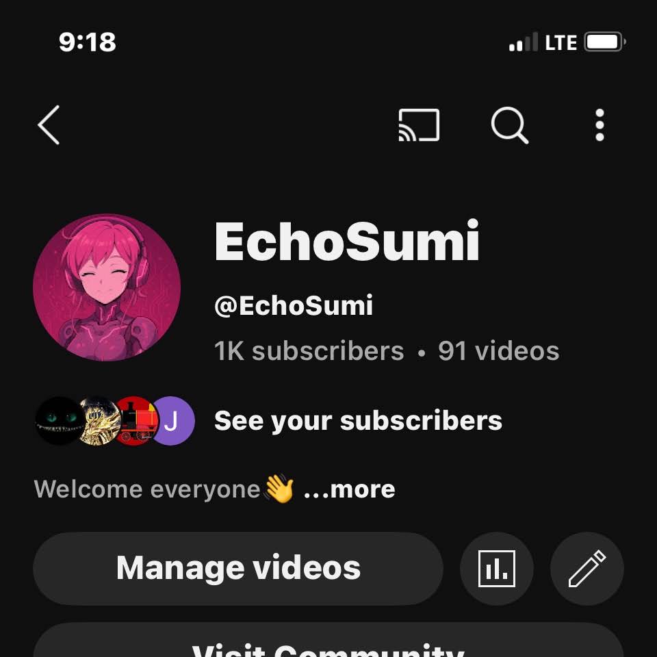 Post from EchoSumi