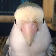目擊現場